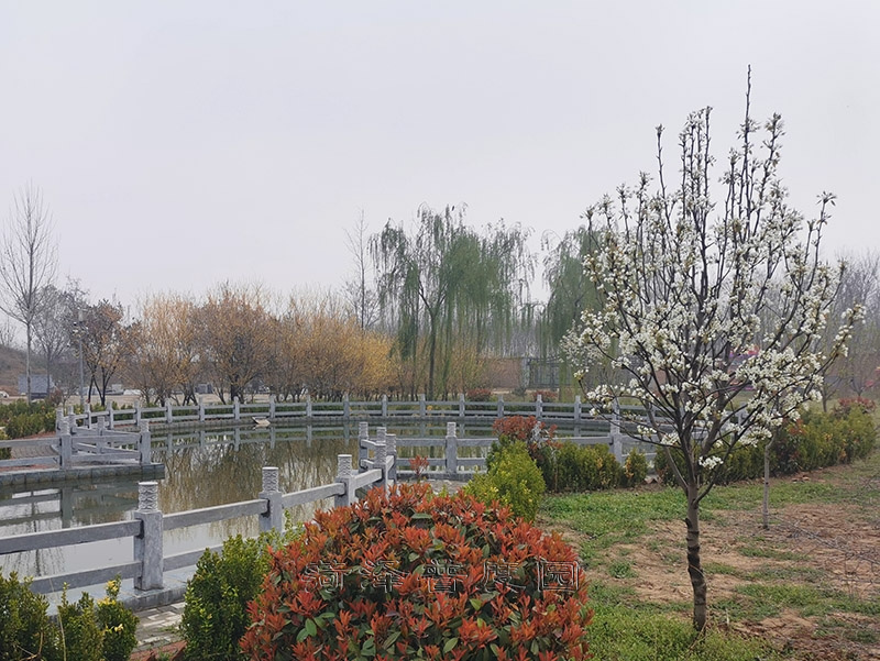 戳我试试